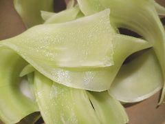 -鸿姐老火锅(静安店)