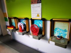 -上海市世外小学