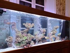 -ALBERGUE 1601 婆仔屋葡国餐厅