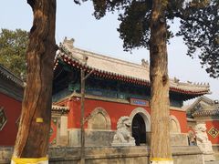 -大觉寺-停车场