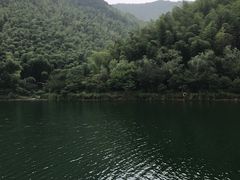 -天乐农家鱼头王(天目湖店)