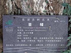 -东湖落雁景区