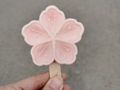 -北京凤凰岭