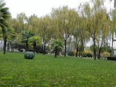 -洨河生态公园