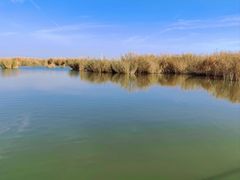 -包头南海湿地景区