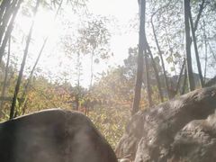 -咸宁万豪温泉谷度假区