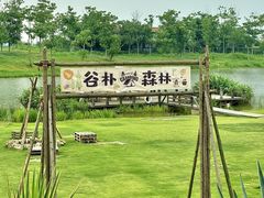 -空港花田景区