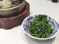 鸡枞菌巧拌辣木苗-香雪海饭店中餐厅(人民桥店)