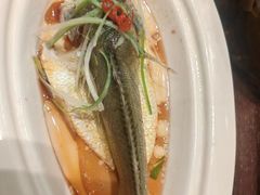 -唐山宴大唐州府精品中餐