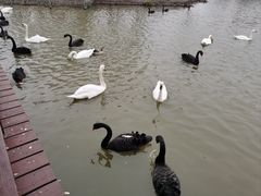 -宁波杭州湾国家湿地公园