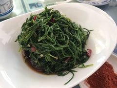 -老毛手抓·盐池滩羊非遗手抓(宁夏总店)
