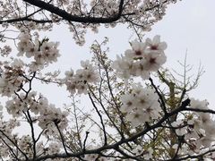 -新江湾城公园