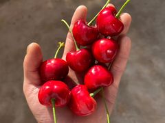 -江杨农产品批发市场