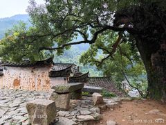 -杨家堂村