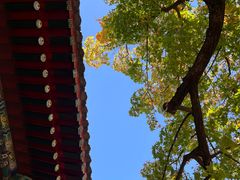 -香山公园