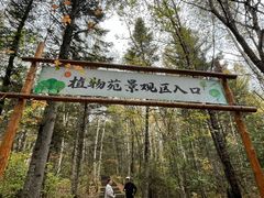 -汤旺河林海奇石景区