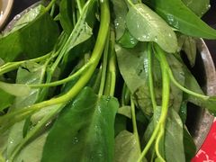 -邓莽子老火锅(鲁祖庙店)