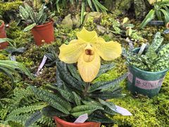 -国家植物园南园