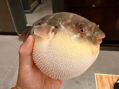 -永安鱼庄·镇江菜(东吴路店)