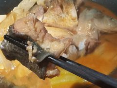 -肥鱼屯活鱼锅(惠工街店)