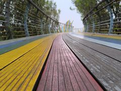 -西山漾湿地公园