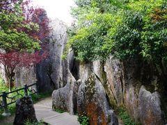 -华蓥山天意谷景区