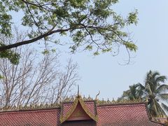 -西双版纳傣族园