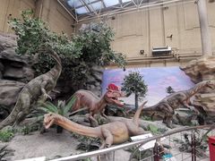 -国家自然博物馆