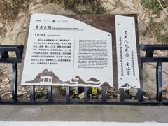 -石老人观光园