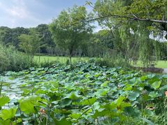 -昆山城市生态森林公园