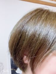 -镁连社·美联社