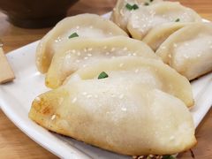 鲜肉锅贴-小姜锅贴(凤凰街店)