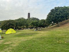 -红花山公园