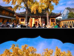 -拙政园