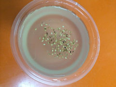iphone_upload_pic-没牙伯花生汤店(老药洲店)