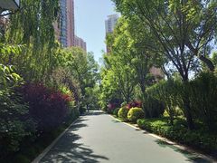 -迎泽公园