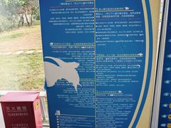 -嵊泗基湖沙滩