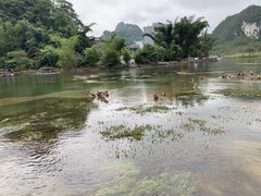-靖西鹅泉风景区