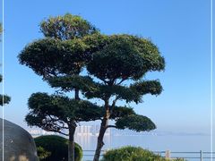 -悦海公园