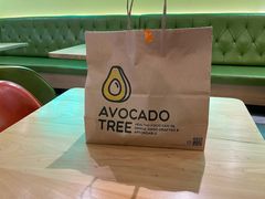 -油梨树AVOCADO TREE(望京店)