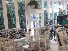 -Fern Forest Cafe