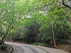 -紫金山山顶公园