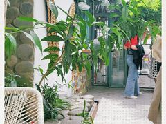 -喵屿·大理花园猫咖