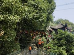 -巴倒烫陆派火锅山庄(南山总店)