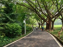 -广州雕塑公园