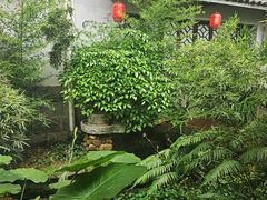 -大自然(鲁家村店)