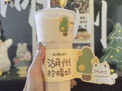 -猫的魔法密林(衣裳街店)
