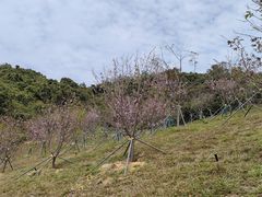 -小南山公园