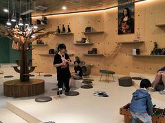 -飞行喵MR PILOT|猫舍·猫咖(静安大融城店)