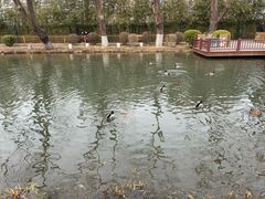 -川成元·麻辣香锅(凯德MALL西直门店)